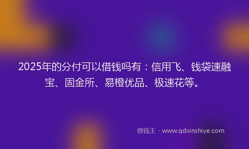 2025年的分付可以借钱吗有：信用飞、钱袋速融宝、固金所、易橙优品、极速花等。
