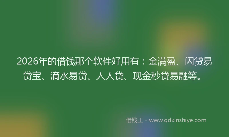 2026年的借钱那个软件好用有:金满盈、闪贷易贷宝、滴水易贷、人人贷、现金秒贷易融等。