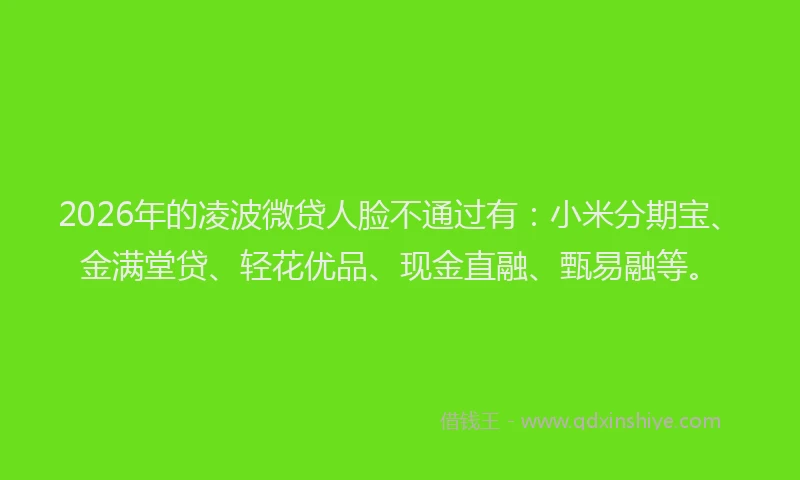 2026年的凌波微贷人脸不通过有:小米分期宝、金满堂贷、轻花优品、现金直融、甄易融等。