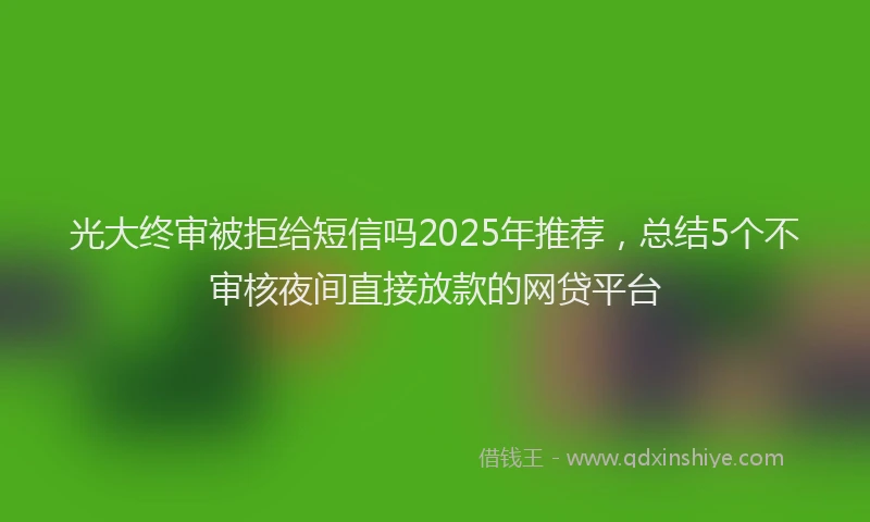 光大终审被拒给短信吗2025年推荐，总结5个不审核夜间直接放款的网贷平台