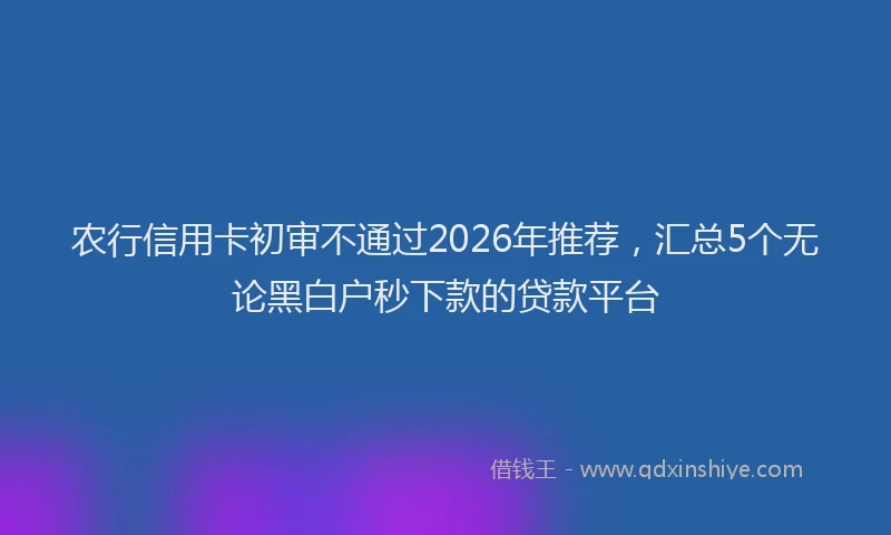 农行信用卡初审不通过2026年推荐，汇总5个无论黑白户秒下款的贷款平台