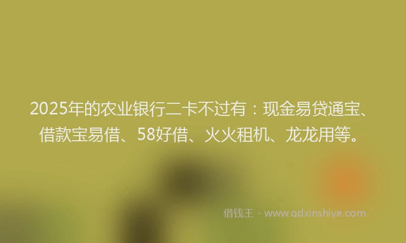 2025年的农业银行二卡不过有：现金易贷通宝、借款宝易借、58好借、火火租机、龙龙用等。