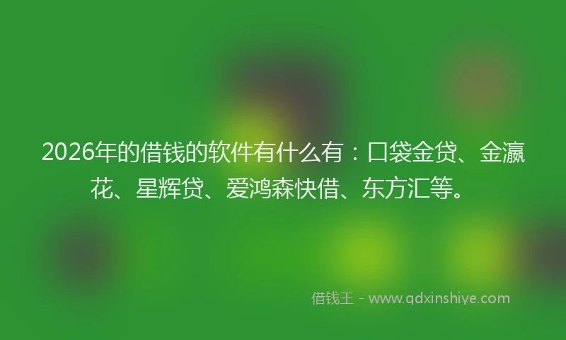 2026年的借钱的软件有什么有：口袋金贷、金瀛花、星辉贷、爱鸿森快借、东方汇等。