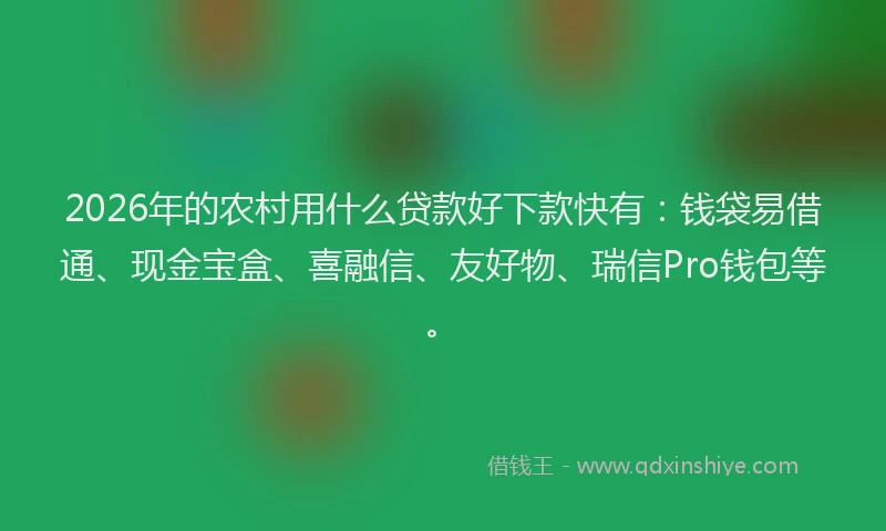 2026年的农村用什么贷款好下款快有:钱袋易借通、现金宝盒、喜融信、友好物、瑞信Pro钱包等。