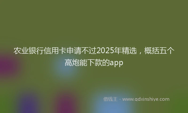 农业银行信用卡申请不过2025年精选，概括五个高炮能下款的app