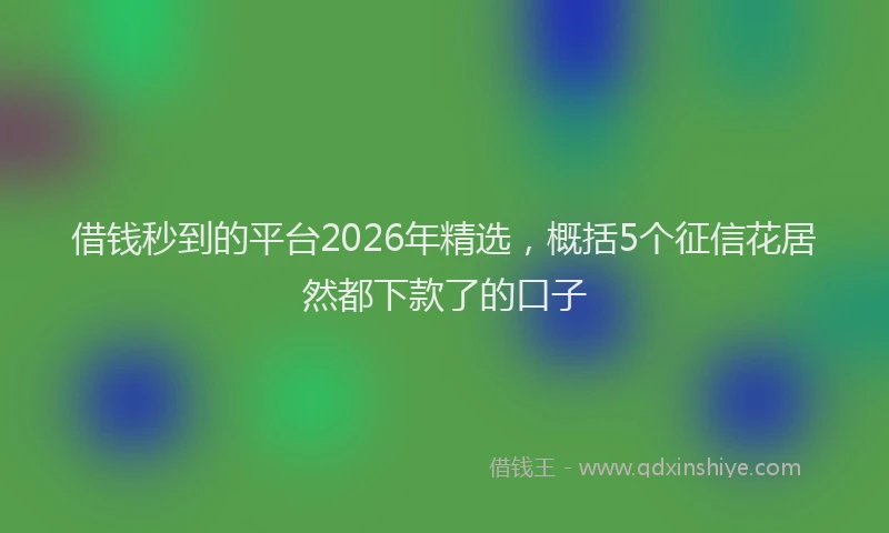 借钱秒到的平台2026年精选,概括5个征信花居然都下款了的口子