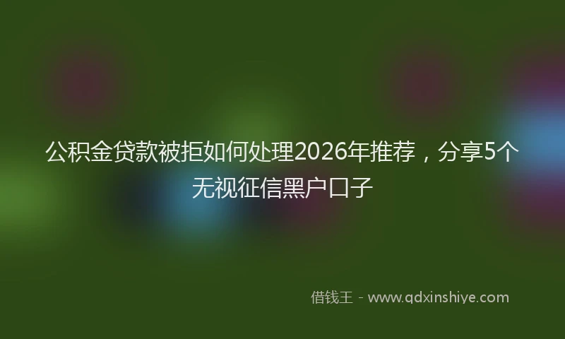 公积金贷款被拒如何处理2026年推荐,分享5个无视征信黑户口子