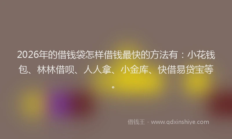 2026年的借钱袋怎样借钱最快的方法有：小花钱包、林林借呗、人人拿、小金库、快借易贷宝等。