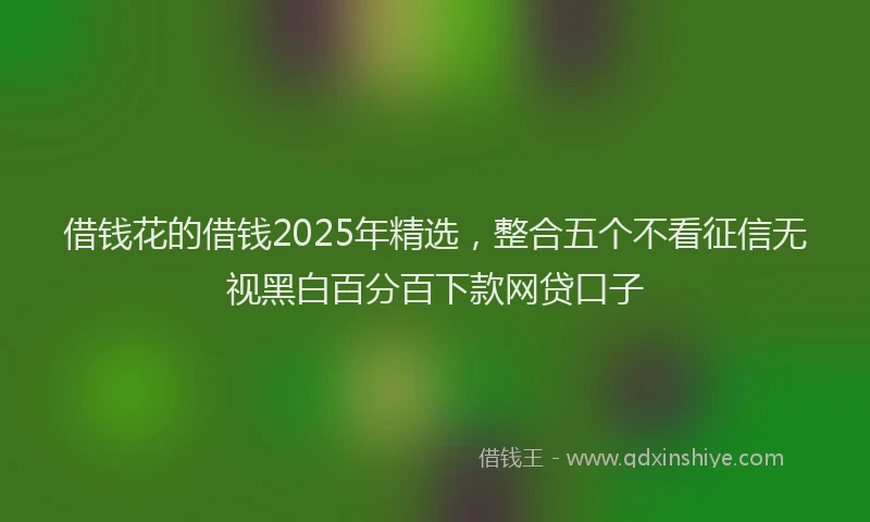 借钱花的借钱2025年精选，整合五个不看征信无视黑白百分百下款网贷口子