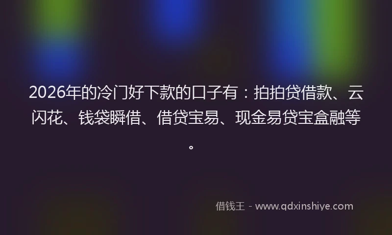 2026年的冷门好下款的口子有：拍拍贷借款、云闪花、钱袋瞬借、借贷宝易、现金易贷宝盒融等。