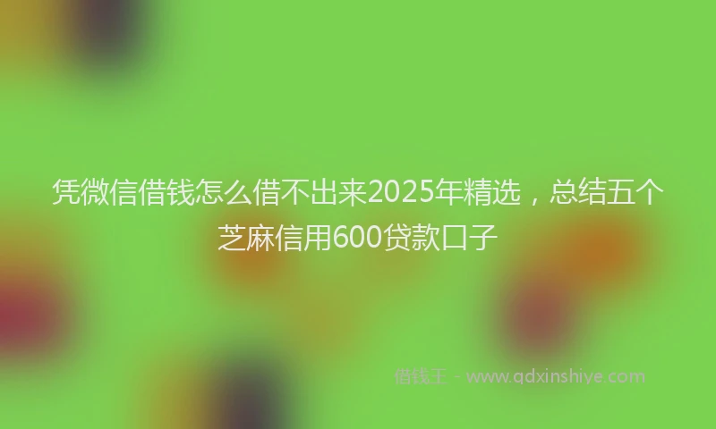 凭微信借钱怎么借不出来2025年精选，总结五个芝麻信用600贷款口子