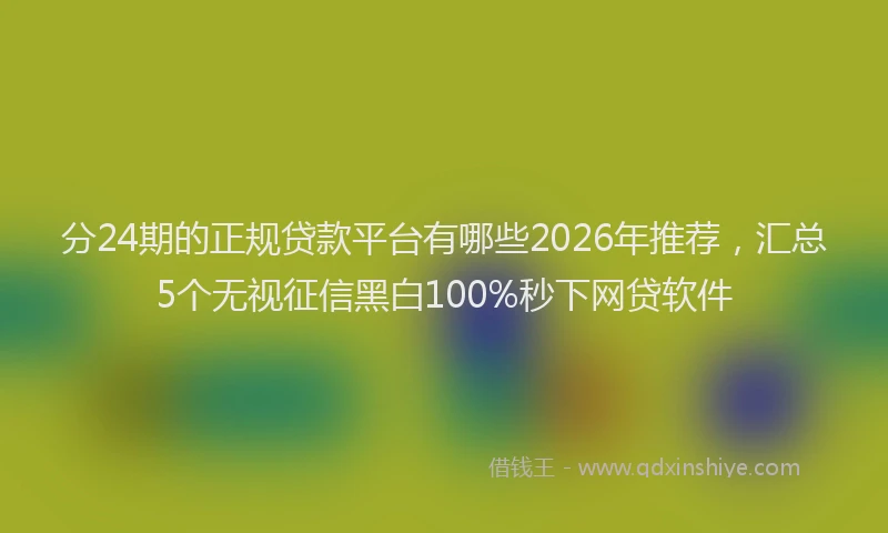 分24期的正规贷款平台有哪些2026年推荐，汇总5个无视征信黑白100%秒下网贷软件