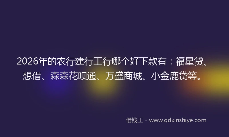 2026年的农行建行工行哪个好下款有：福星贷、想借、森森花呗通、万盛商城、小金鹿贷等。
