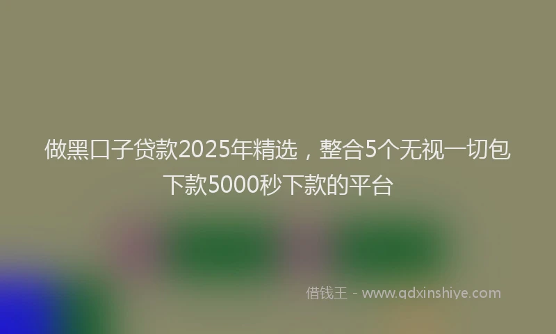 做黑口子贷款2025年精选，整合5个无视一切包下款5000秒下款的平台