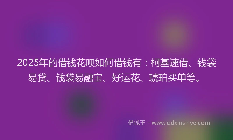 2025年的借钱花呗如何借钱有：柯基速借、钱袋易贷、钱袋易融宝、好运花、琥珀买单等。