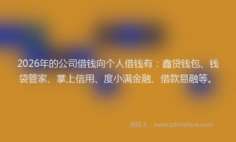 2026年的公司借钱向个人借钱有：鑫贷钱包、钱袋管家、掌上信用、度小满金融、借款易融等。