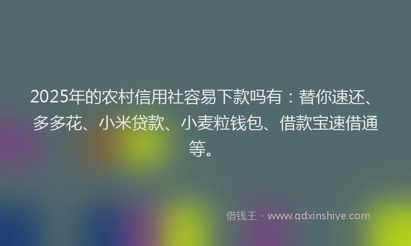 2025年的农村信用社容易下款吗有：替你速还、多多花、小米贷款、小麦粒钱包、借款宝速借通等。