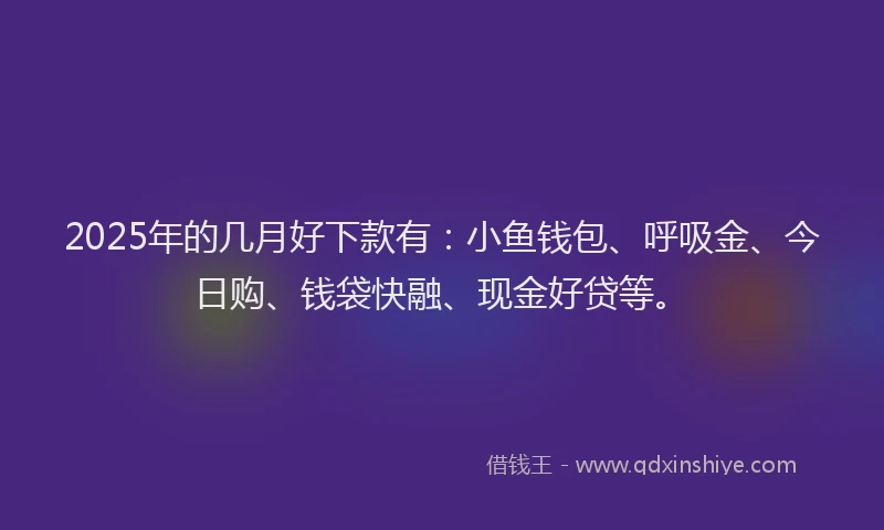 2025年的几月好下款有：小鱼钱包、呼吸金、今日购、钱袋快融、现金好贷等。