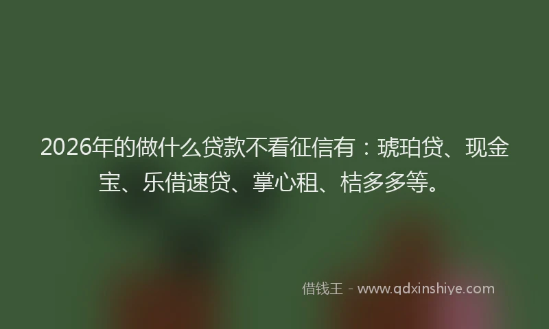 2026年的做什么贷款不看征信有:琥珀贷、现金宝、乐借速贷、掌心租、桔多多等。
