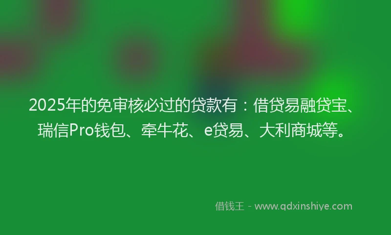 2025年的免审核必过的贷款有:借贷易融贷宝、瑞信Pro钱包、牵牛花、e贷易、大利商城等。