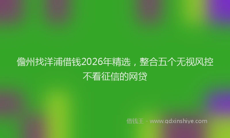 儋州找洋浦借钱2026年精选，整合五个无视风控不看征信的网贷