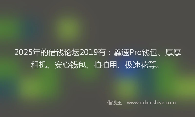 2025年的借钱论坛2019有：鑫速Pro钱包、厚厚租机、安心钱包、拍拍用、极速花等。
