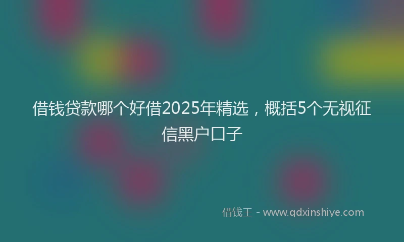借钱贷款哪个好借2025年精选，概括5个无视征信黑户口子