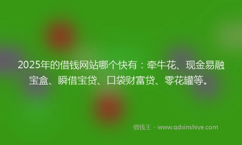 2025年的借钱网站哪个快有：牵牛花、现金易融宝盒、瞬借宝贷、口袋财富贷、零花罐等。