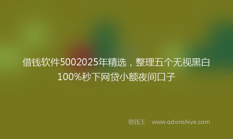 借钱软件5002025年精选，整理五个无视黑白100%秒下网贷小额夜间口子