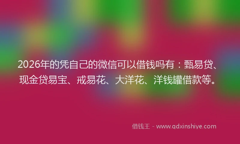 2026年的凭自己的微信可以借钱吗有:甄易贷、现金贷易宝、戒易花、大洋花、洋钱罐借款等。