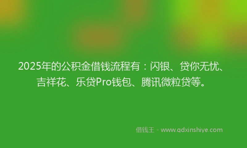 2025年的公积金借钱流程有：闪银、贷你无忧、吉祥花、乐贷Pro钱包、腾讯微粒贷等。