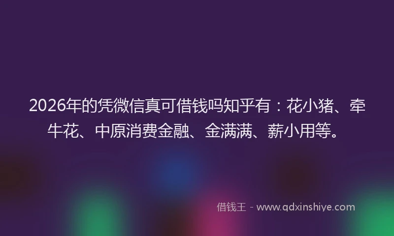 2026年的凭微信真可借钱吗知乎有：花小猪、牵牛花、中原消费金融、金满满、薪小用等。