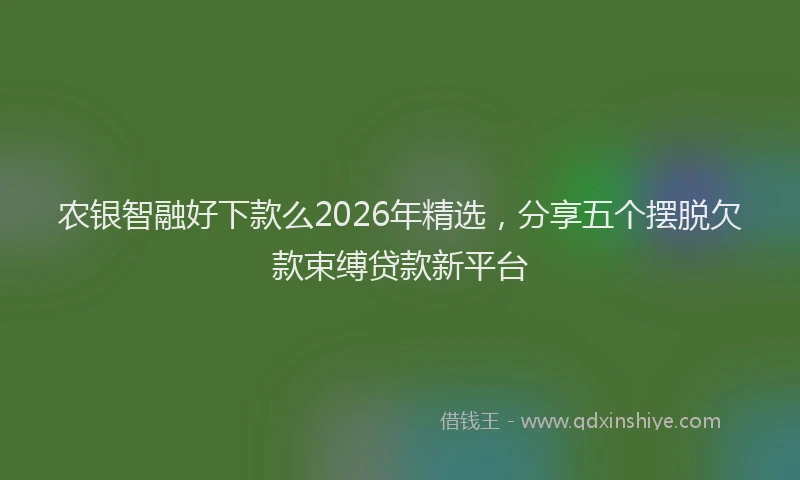 农银智融好下款么2026年精选，分享五个摆脱欠款束缚贷款新平台