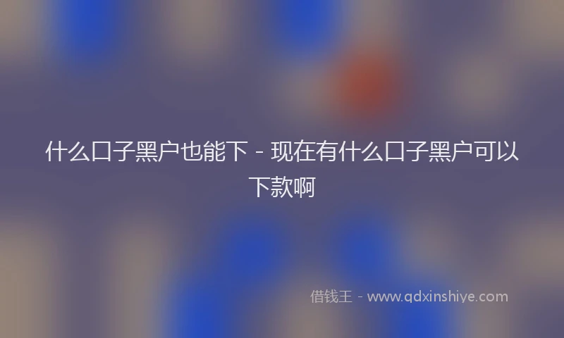 什么口子黑户也能下 - 现在有什么口子黑户可以下款啊
