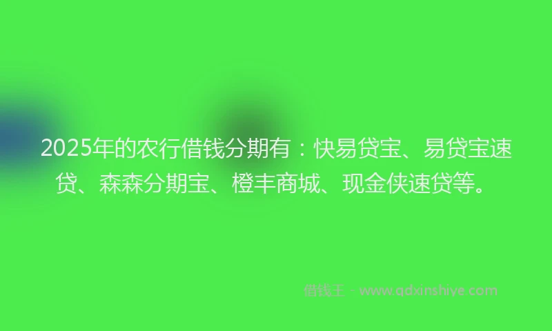 2025年的农行借钱分期有：快易贷宝、易贷宝速贷、森森分期宝、橙丰商城、现金侠速贷等。