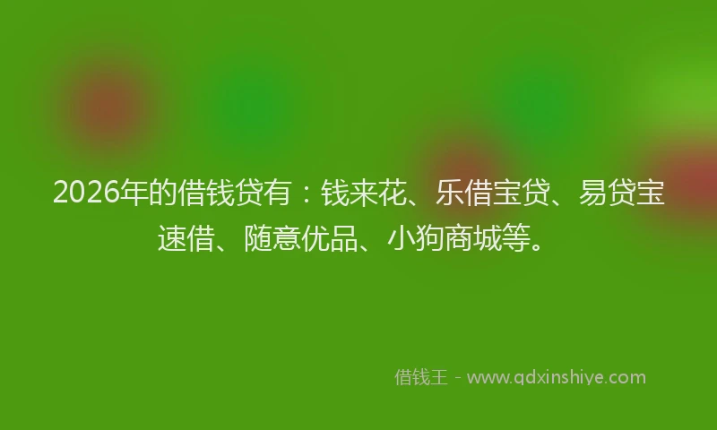 2026年的借钱贷有:钱来花、乐借宝贷、易贷宝速借、随意优品、小狗商城等。