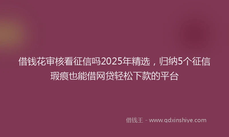 借钱花审核看征信吗2025年精选，归纳5个征信瑕疵也能借网贷轻松下款的平台