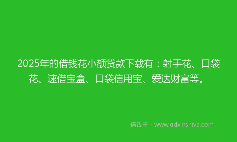 2025年的借钱花小额贷款下载有：射手花、口袋花、速借宝盒、口袋信用宝、爱达财富等。