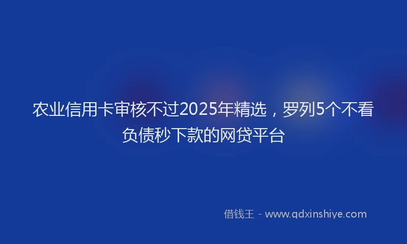 农业信用卡审核不过2025年精选，罗列5个不看负债秒下款的网贷平台