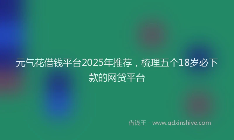 元气花借钱平台2025年推荐，梳理五个18岁必下款的网贷平台