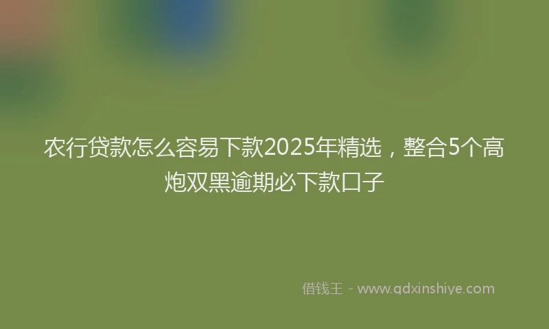 农行贷款怎么容易下款2025年精选，整合5个高炮双黑逾期必下款口子