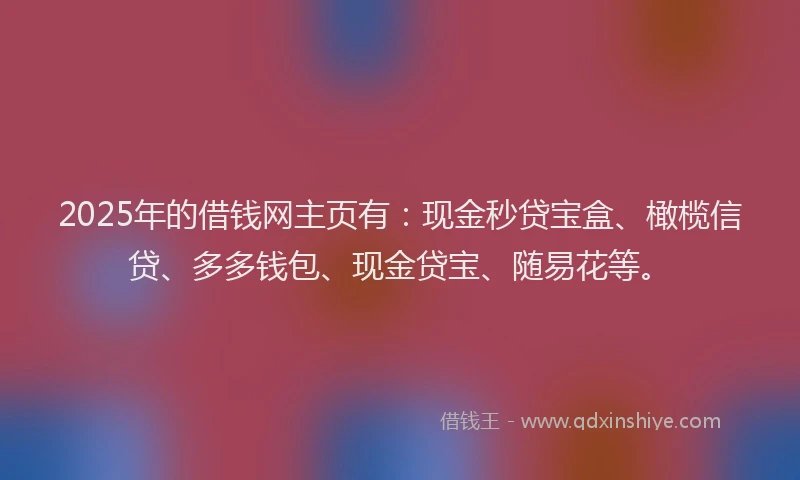 2025年的借钱网主页有：现金秒贷宝盒、橄榄信贷、多多钱包、现金贷宝、随易花等。