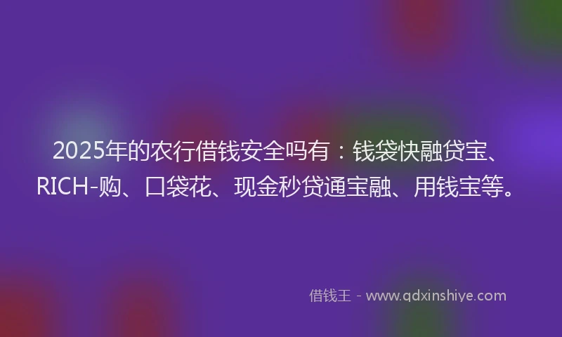 2025年的农行借钱安全吗有:钱袋快融贷宝、RICH-购、口袋花、现金秒贷通宝融、用钱宝等。