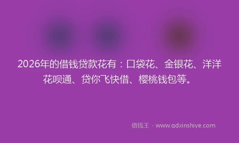 2026年的借钱贷款花有：口袋花、金银花、洋洋花呗通、贷你飞快借、樱桃钱包等。