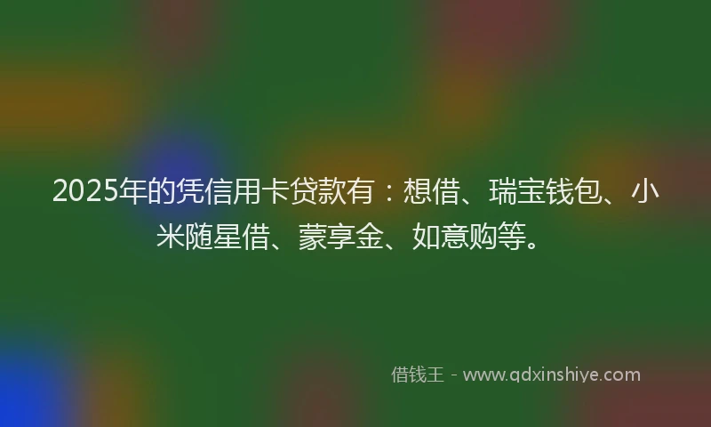 2025年的凭信用卡贷款有：想借、瑞宝钱包、小米随星借、蒙享金、如意购等。