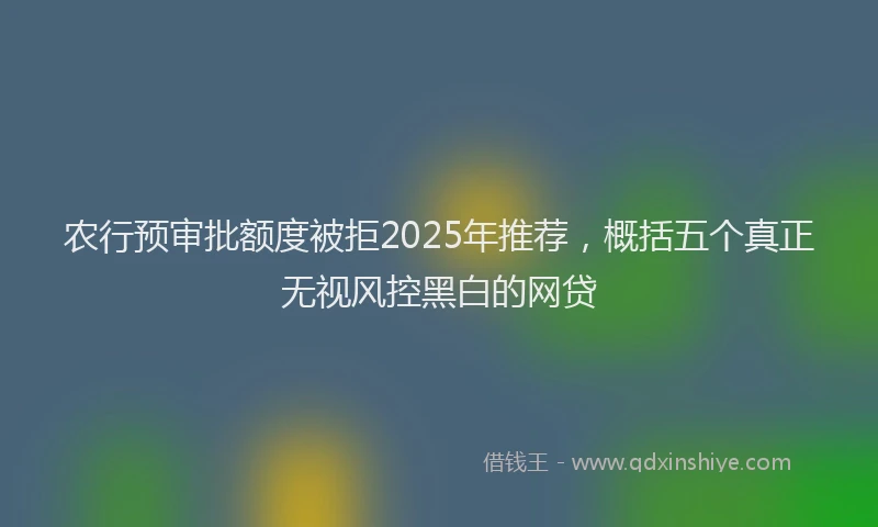 农行预审批额度被拒2025年推荐，概括五个真正无视风控黑白的网贷