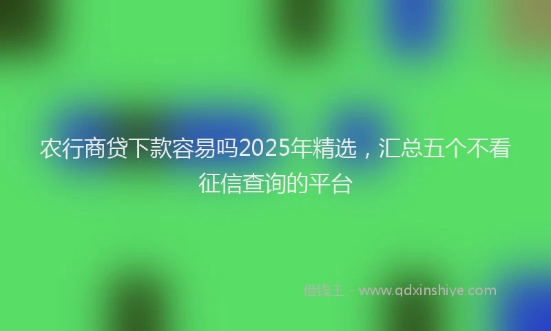 农行商贷下款容易吗2025年精选，汇总五个不看征信查询的平台