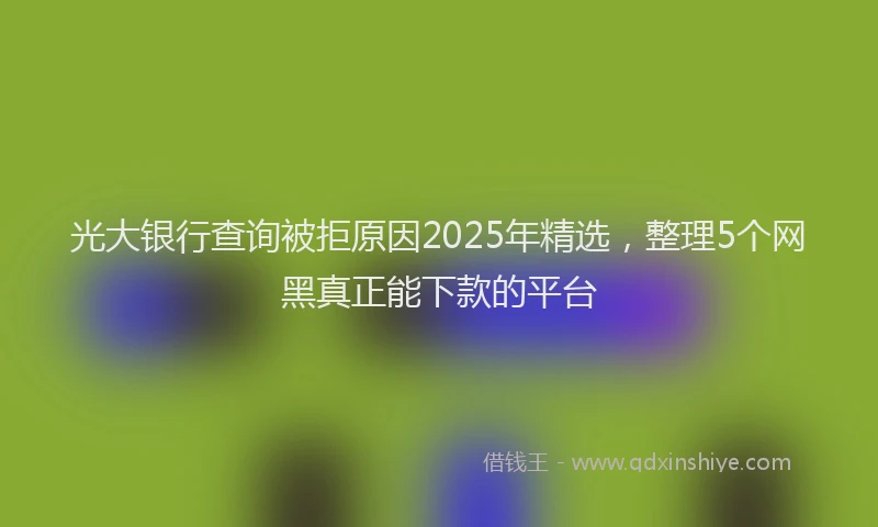光大银行查询被拒原因2025年精选，整理5个网黑真正能下款的平台