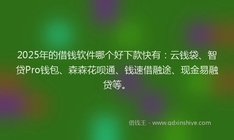 2025年的借钱软件哪个好下款快有：云钱袋、智贷Pro钱包、森森花呗通、钱速借融途、现金易融贷等。