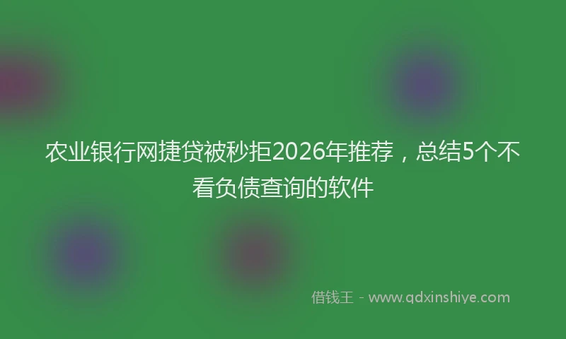 农业银行网捷贷被秒拒2026年推荐，总结5个不看负债查询的软件
